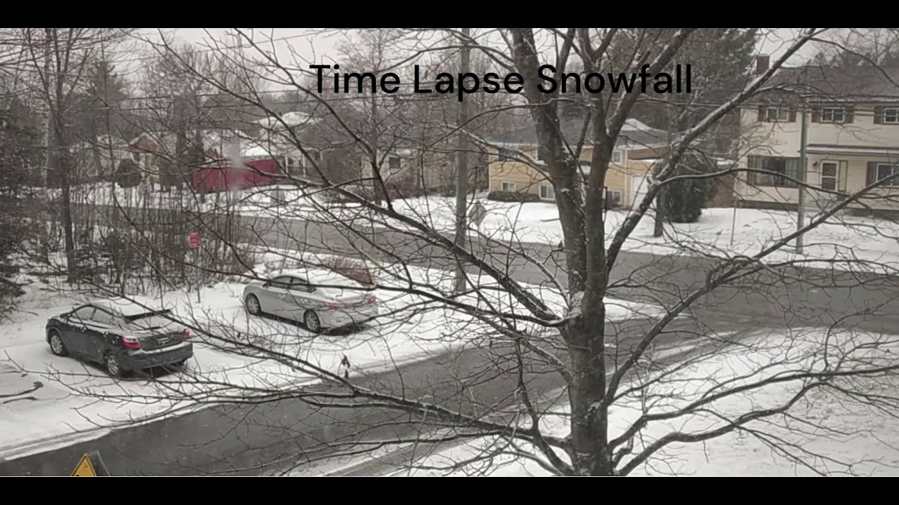 Time Lapse Snowfall in Fredericton, Canada | Winter Storm Alert - YouTube