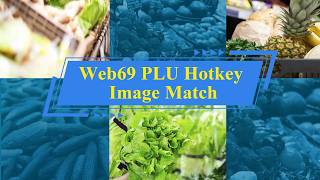 6. Web69 PLU Hotkey Image Match