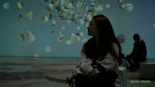 Dalí Cibernètic. An immersive audio-visual.