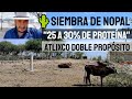 🌵💚NOPAL Atlixco para engorda de ganado PARTE 1 Siembra