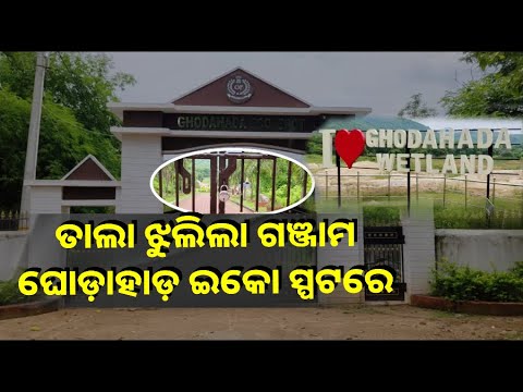 କି ଅବସ୍ଥା ହେଲାଣି : ଗଞ୍ଜାମ ଜିଲ୍ଲା ଦିଗପହଣ୍ଡି ଇକୋ ସ୍ପଟ୍‌ ଏବେ ପର୍ଯ୍ୟଟକଙ୍କୁ ମନା || Knews Odisha