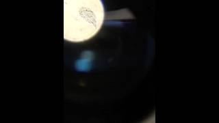 IMG 0125 1