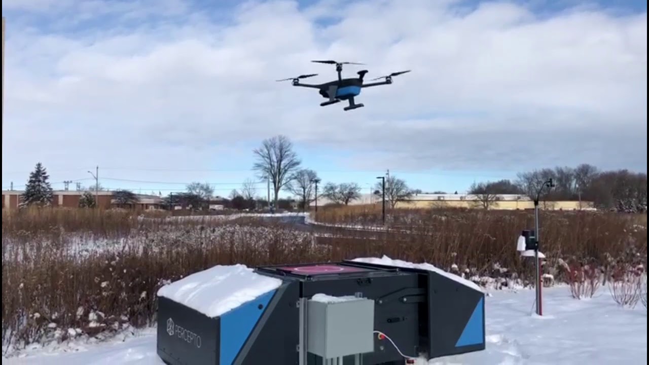autonomous systems Sparrow in the snow