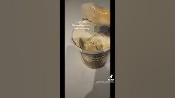 Viral Trader Joes Banana Pudding Ice Cream