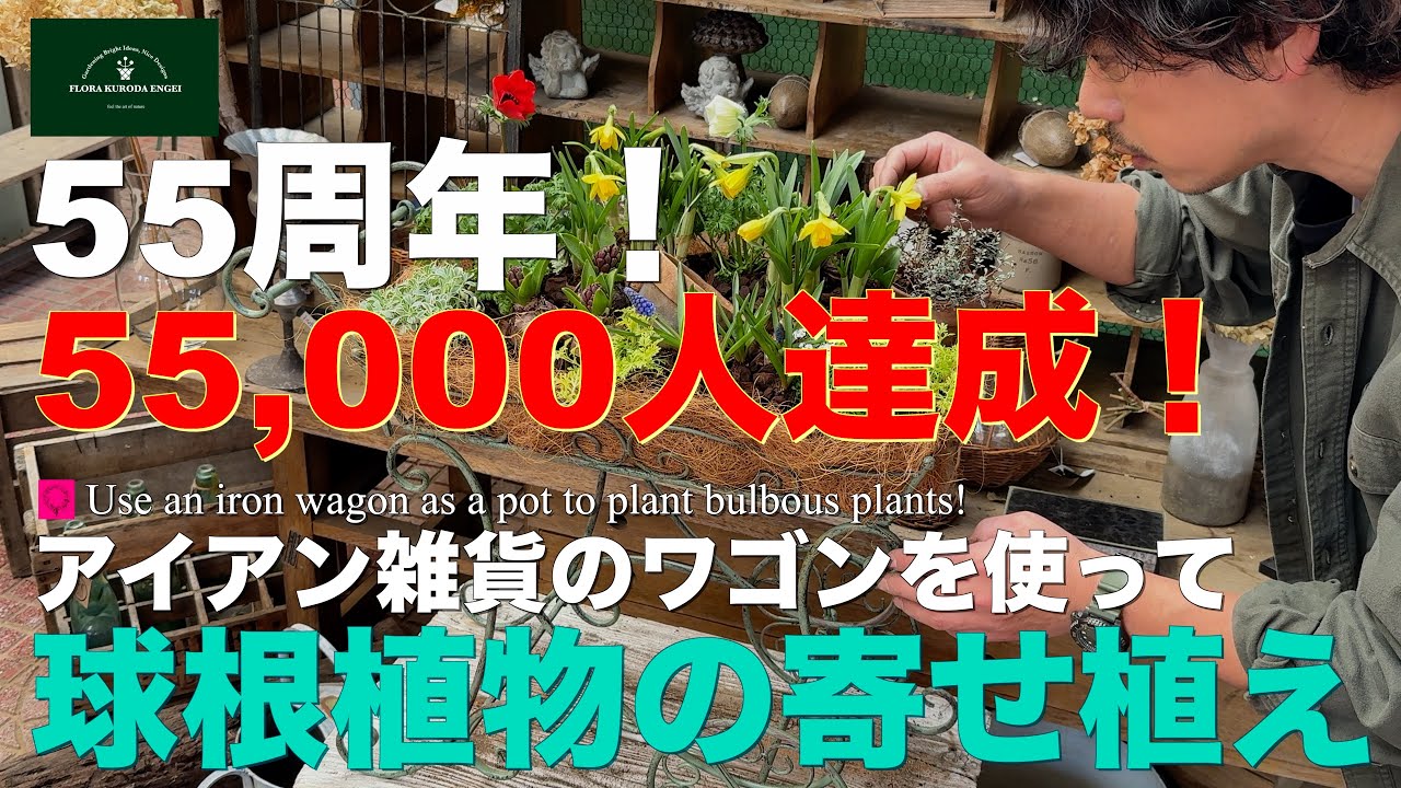 【55周年！55,000人達成！】今年もよろしくお願いします！アイアン雑貨のワゴンを使って／球根植物の寄せ植え 【冬のガーデニング】-フローラ黒田園芸- / ガーデニング　園芸　寄せ植え