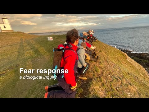 Fear response: A biological inquiry