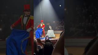 🐧 Penguin's Amazing Circus Performance! You Won't Believe This Trick 😱🎪