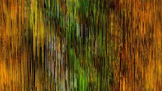 pixelsorting & videopainting