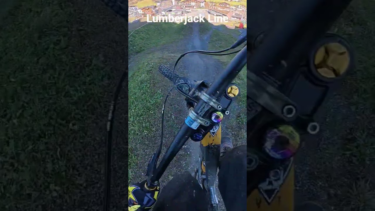 lumberjack line bikepark leogang 
