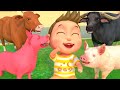 What are you doing song animals version  bum bum kids song  nursery rhymes