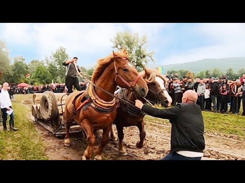 Video: 8-årig Flicka Kunde Ha Mördat Barn