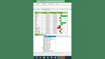 Utiliser la saisie semi-automatique sur Excel #excel #formationexcel