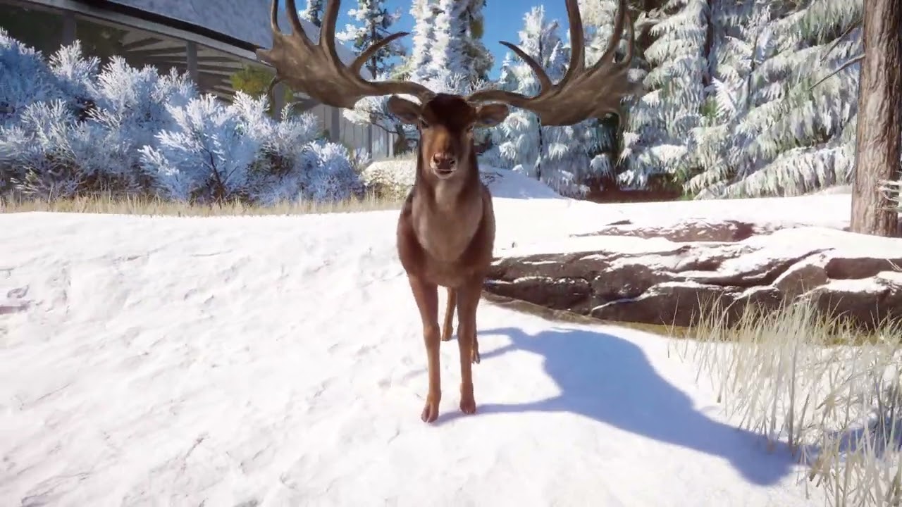 Extinct Giant Irish Elk | Planet Zoo Animals