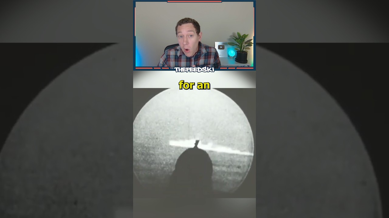 The Pigeons That Guided Missiles Into Enemies