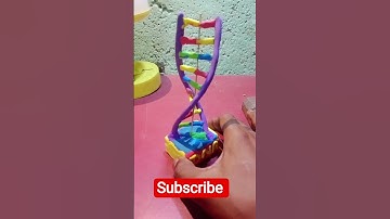 How to Make a 3D DNA Model Using Clay | Easy Biology Project" #scienceproject #highschoolbiology