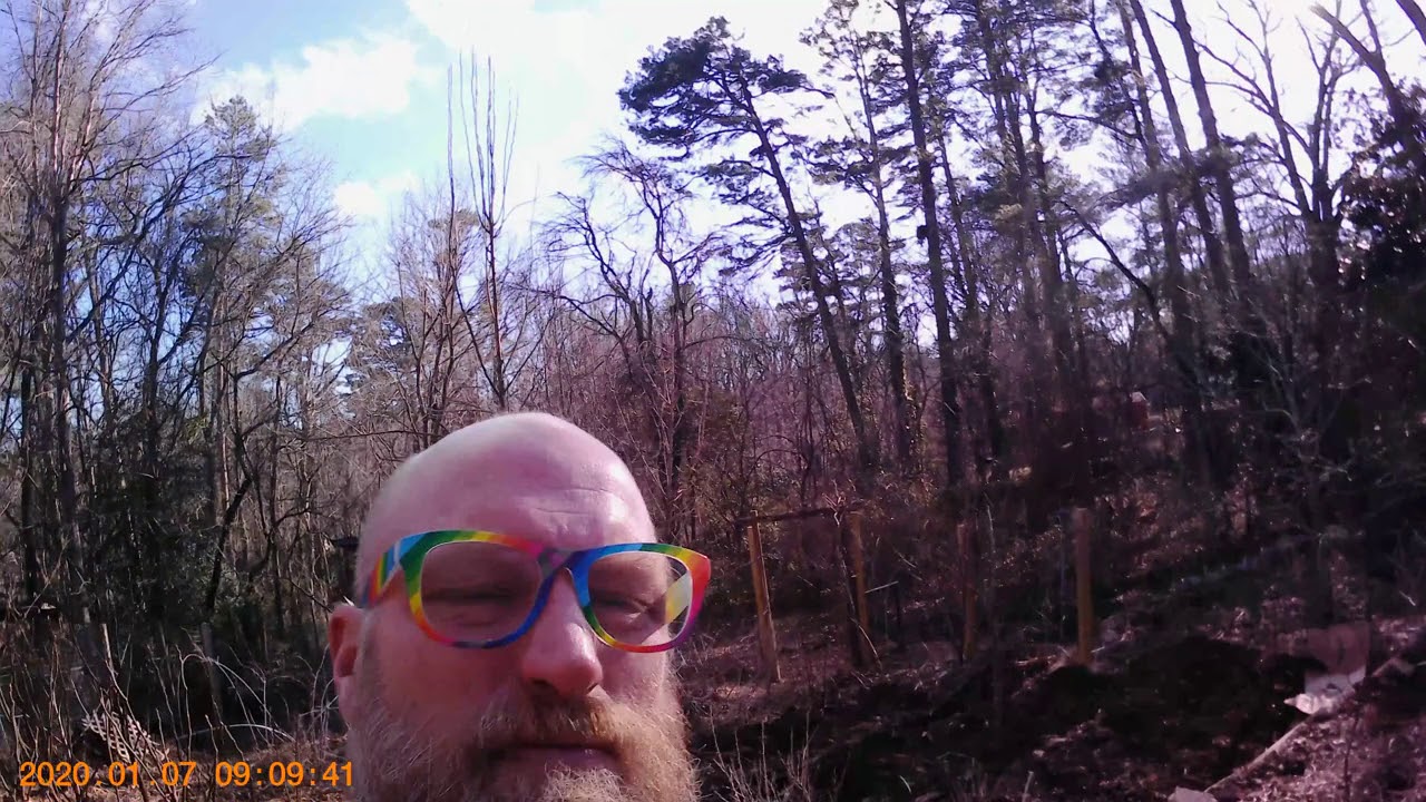 Creating soil with swales chickens and woodchips