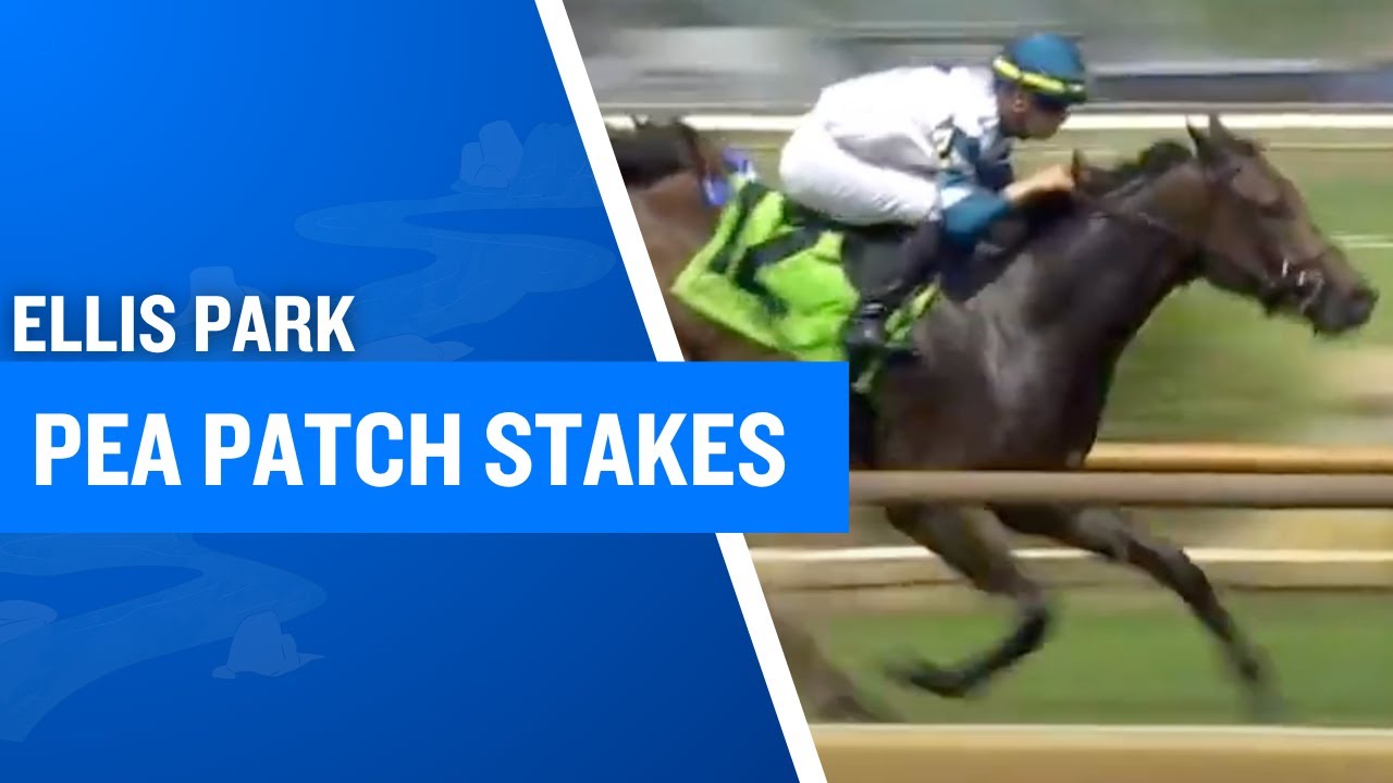 2025 $150,000 Pea Patch Stakes at Ellis Park
