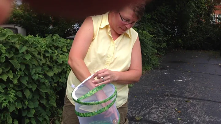 Clintonville's "Butterfly Barb," aka Barbara Huebner