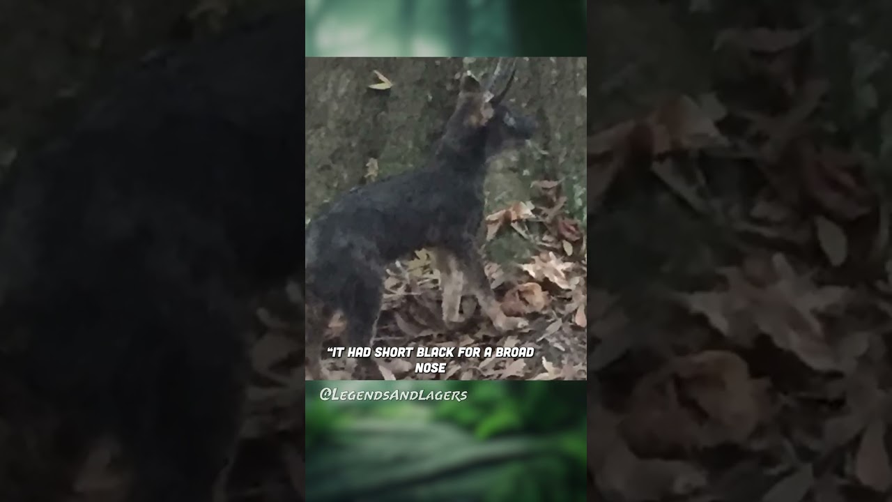 Do you think these photos are real?? 