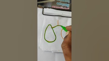 one line draws the entire shape and the line can