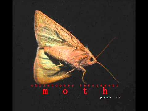Moth - part II