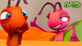 Noodle Bath 🔴NEW EPISODE🔴 | Funny Cartoons For All The Family! | Funny Videos for kids | ANTIKS 🐜🌿