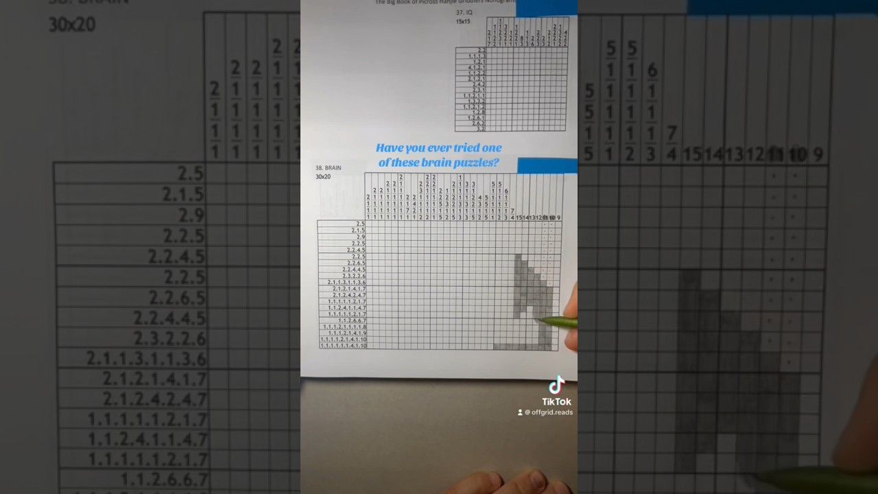 Nonogram 30x20 difficulty 4/6 