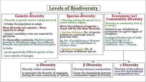Biodiversity (Lecture 1)