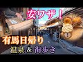 【裏技】金泉が土日¥800 駐車無料!街歩きの前に食べログ100名店うどん