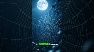 Tiny Spiders Show REM Sleep and Might Actually Dream 🕷️💤