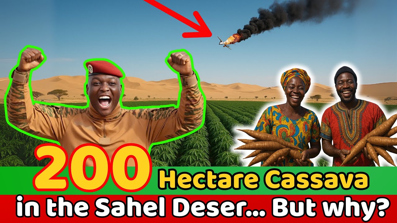 Ibrahim Traoré’s 200,000 Hectare Cassava Project in the Sahel Desert… Here’s Why!