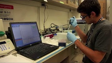 Brown-Stanford 2011 IGEM Teaser