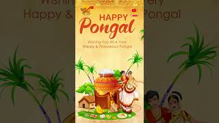 🙏அனைவருக்கும் இனிய பொங்கல் நல்வாழ்த்துக்கள் 🙏💕 #trending #happypongal #pongalwishes