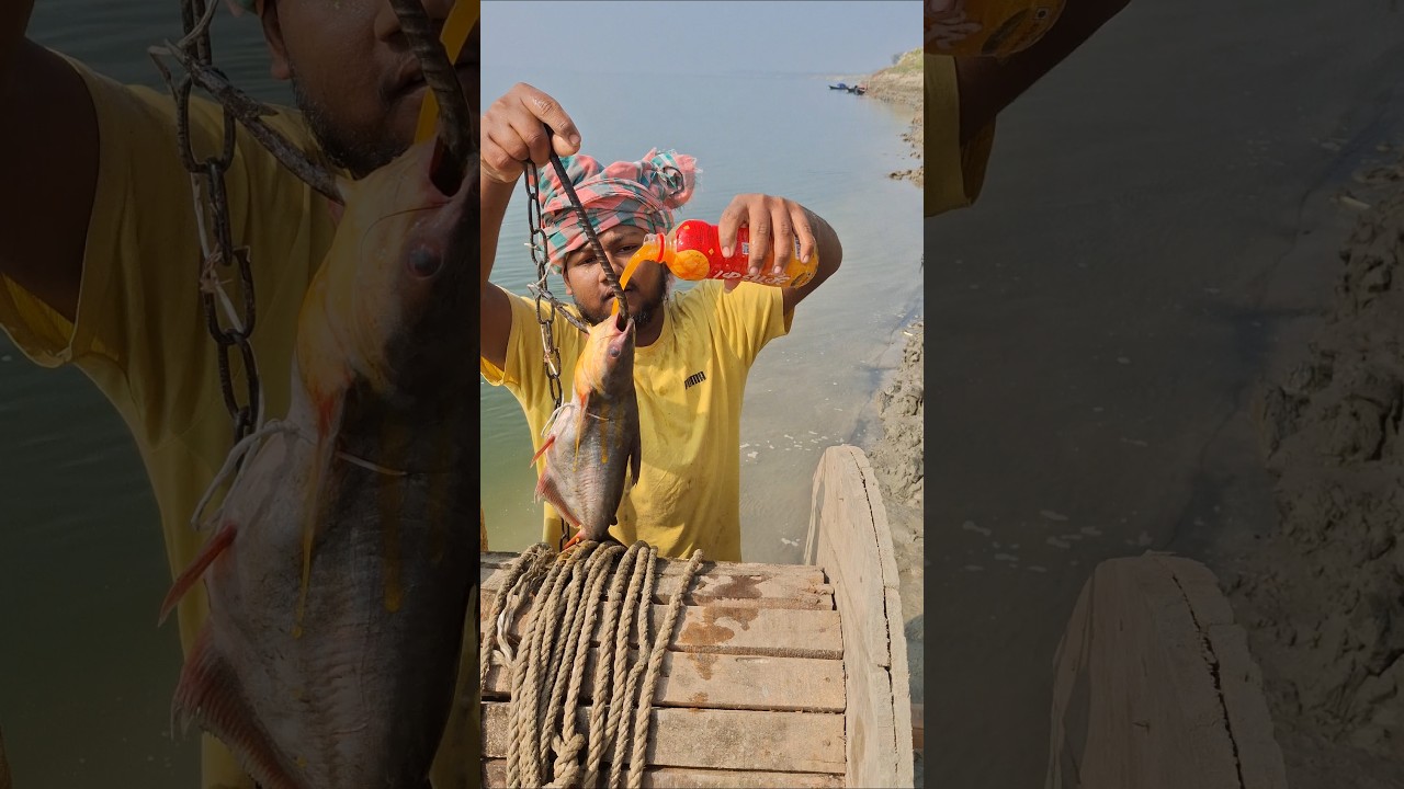 secret fishing method for giant fish 