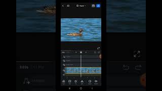 How to reverse video in VN Video Editor ?