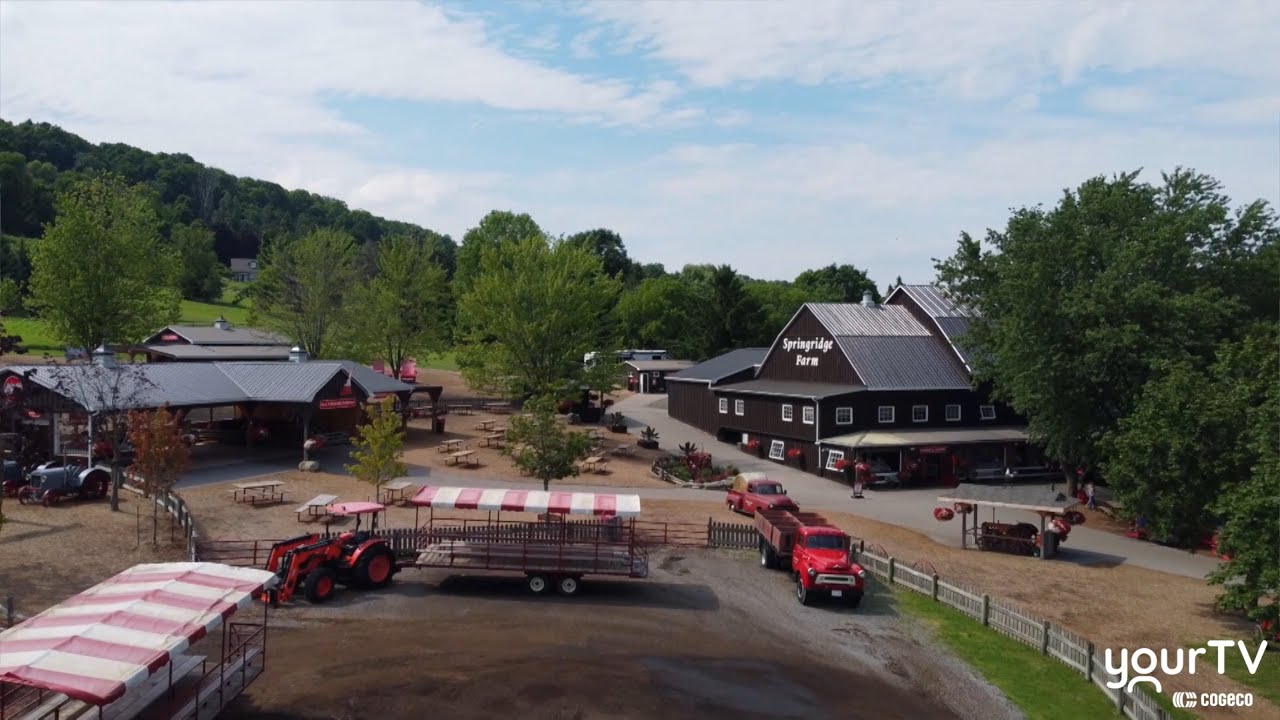 Springridge The History of Springridge Farm - YouTube