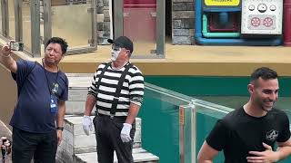 Silence Speaks: Tom's Spectacular Mime Performance at SeaWorld