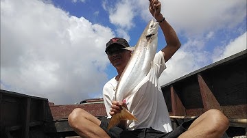 Số Không Vlog - 1 Ngày 1 Đêm Câu Cá Bông Lau Hết 1 Phần Mồi Giật Đúng 1 Phát