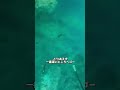 異世界への穴