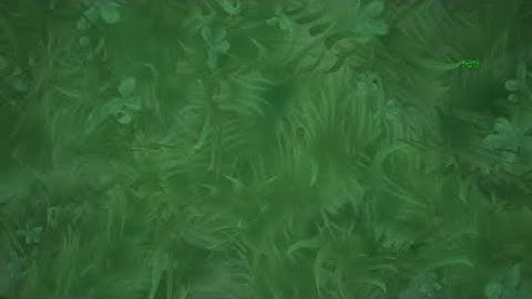 My New Tropical 1v1 Map