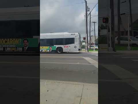 Fax Bus 34 Schedule