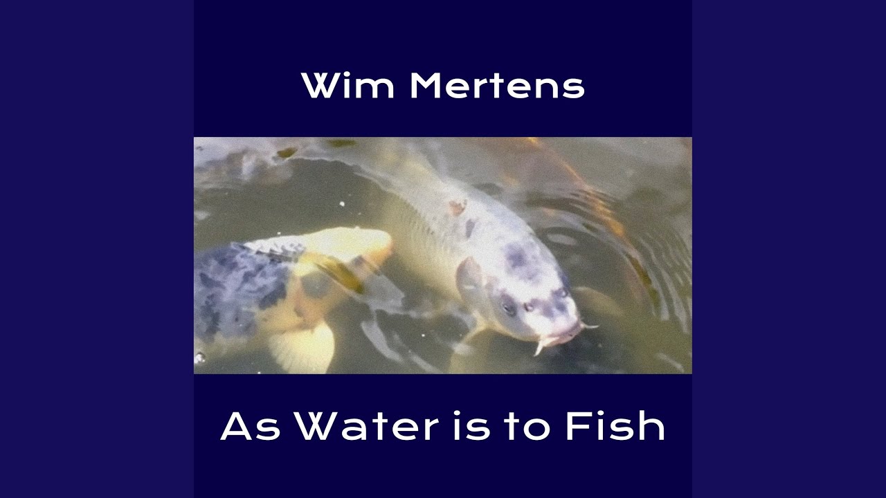 Guarda Error-tolerant su YouTube Guarda Error-tolerant su YouTube