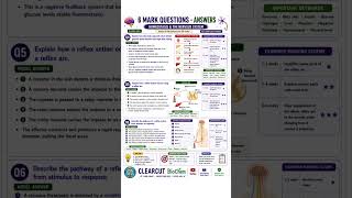 Homeostasis &amp; The Nervous System ⚡ | Complete GCSE Biology Revision | Clearcut BioChem #aqa
