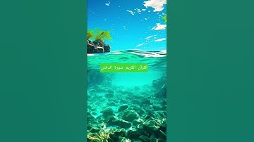 القرآن الكريم #اكسبلور #المصحف #تلاوات_رائعة #لايك #