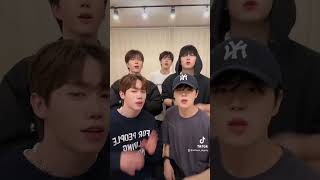 Rockstar🤟😎 #gogirl #pitbull  #DIGNITY #디그니티 #gogirlchallenge #rockstarchallenge #fyp #shorts