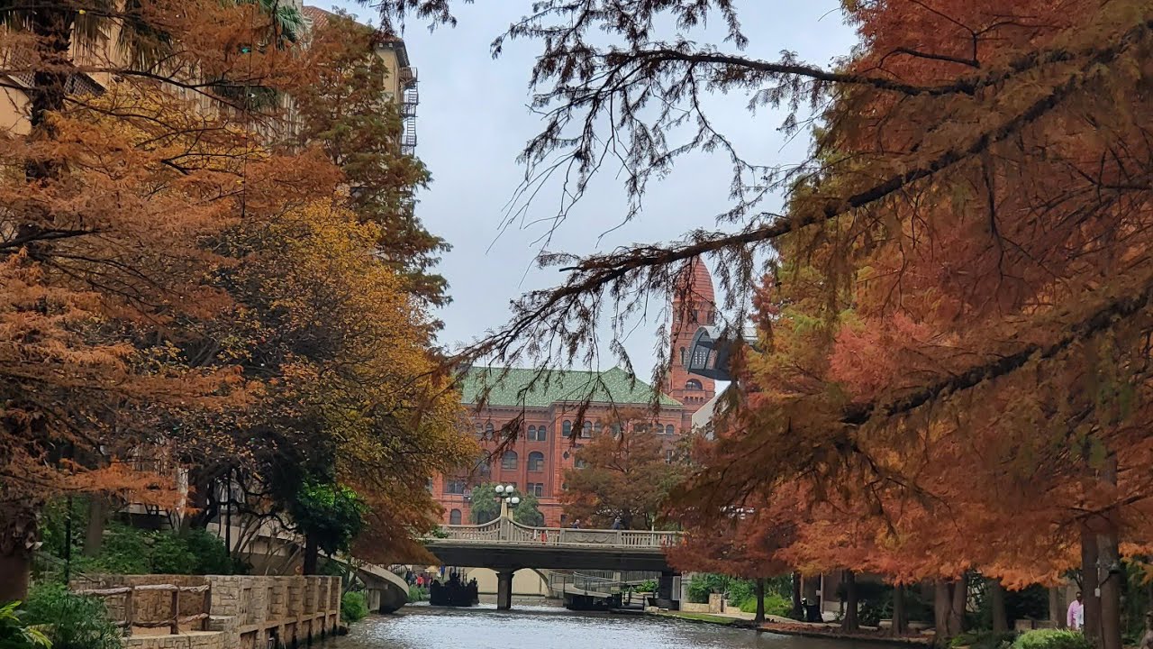 Nature of USA... The Woodlands, TX. Природа Америки... Америка манзаралари.