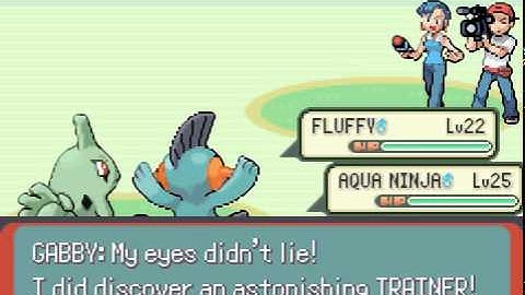 Lets Play Pokemon Rebirth Part 20- Winstrate Family