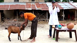 Must Watch New Funny Video 2020_Top New Comedy Video_Try To Not Laugh_Episode 66 By Funny Day