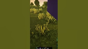 Minecraft | How to Build a Trampoline #shorts #minecraft