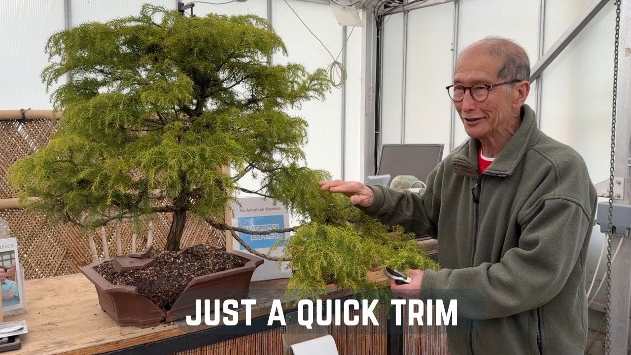 Just a Quick Trim